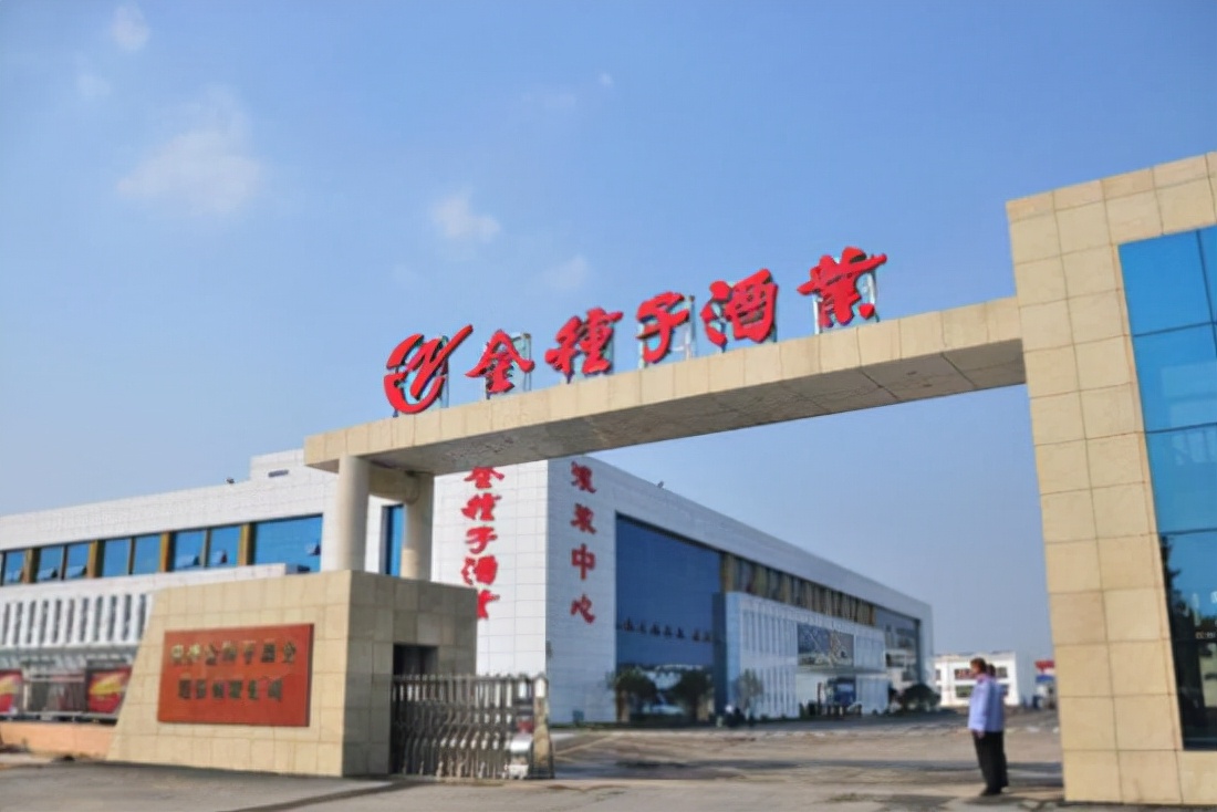 金种子酒未来几年能否高速成长,金种子酒年度盘点