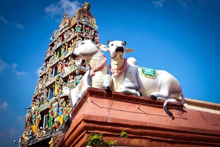 南宁有直飞新加坡的航班,南宁直飞曼谷机票价格