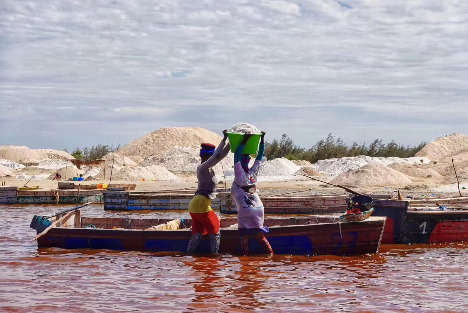 塞内加尔丨你不知道的国家冷知识