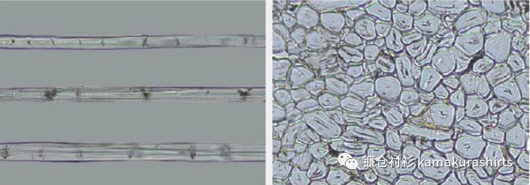 镰仓衬衫简介,镰仓衬衫短袖推荐款