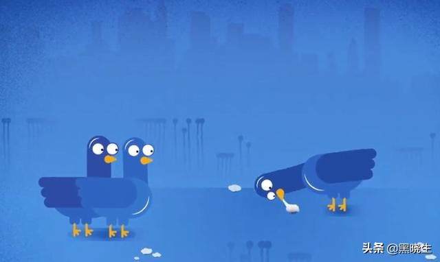 会捡垃圾的动物,动物捡垃圾的真实感受