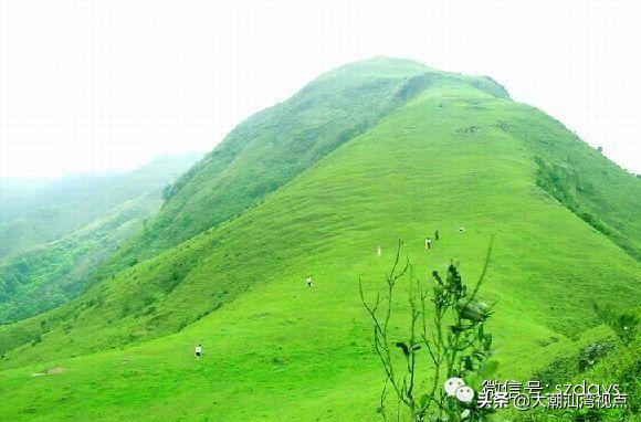 广东最美8个大草原,广东十大草原旅游地