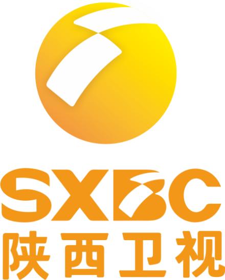 电视剧的含义,电视剧中的历史演变