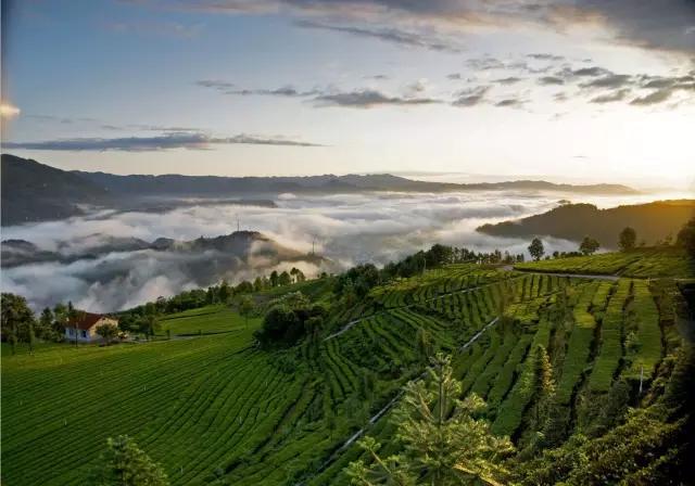 在宜昌的路上最美的风景,去感受大宜昌的美