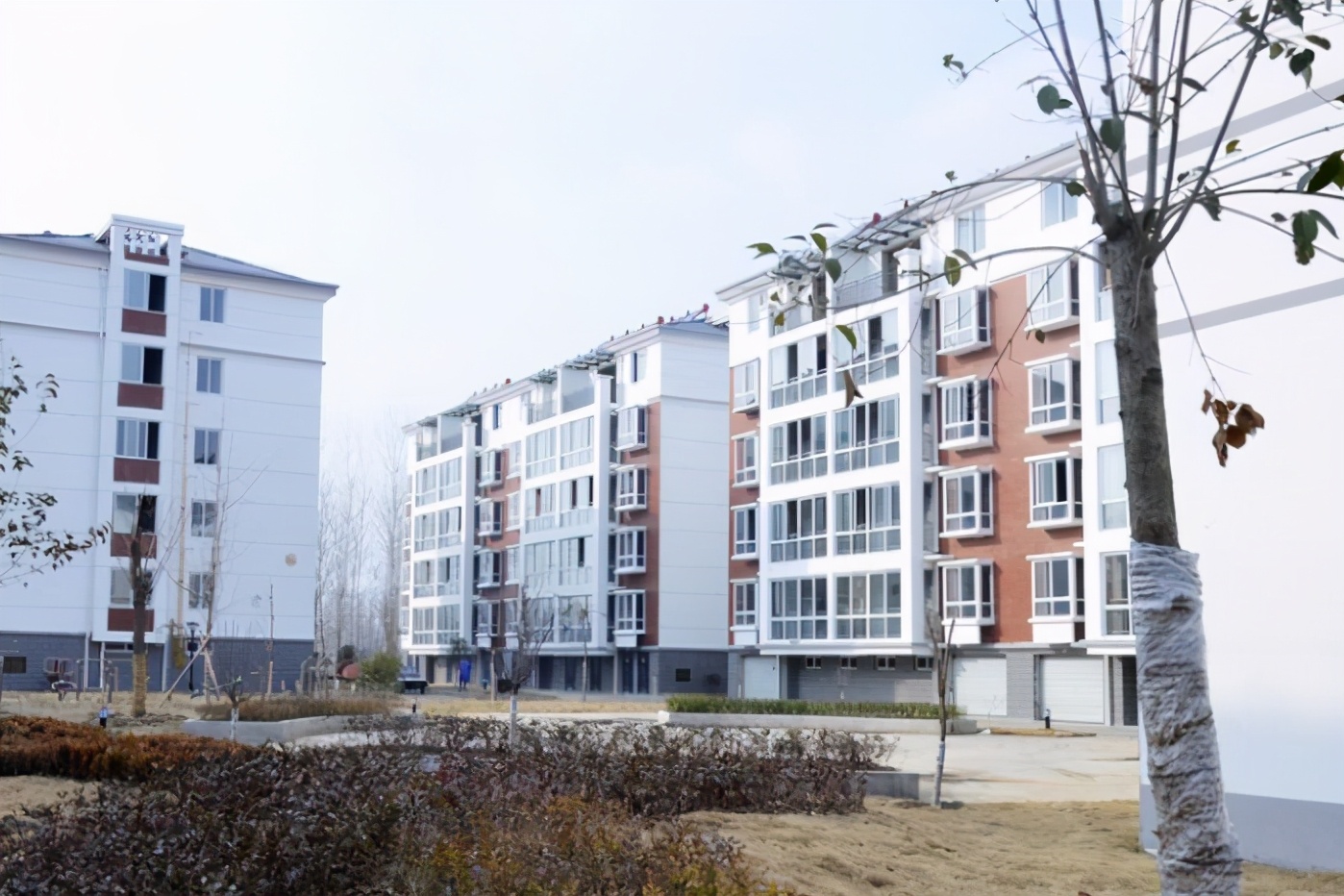 江苏乡镇面积排名,江苏发展较好的乡镇