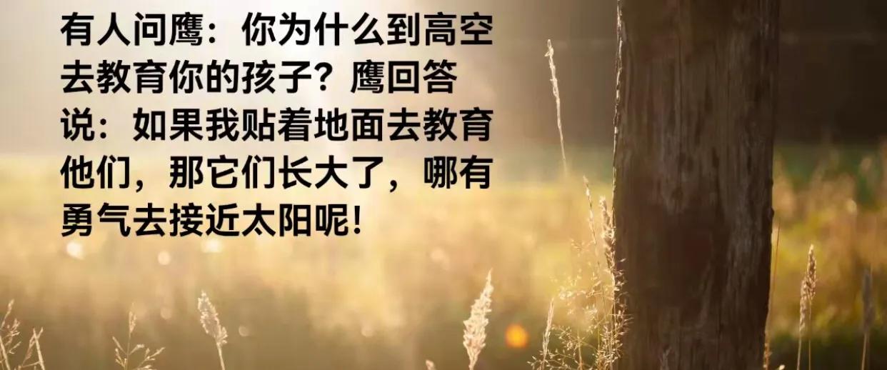 犹太人家庭教育成功秘密,犹太人的教育方法和技巧