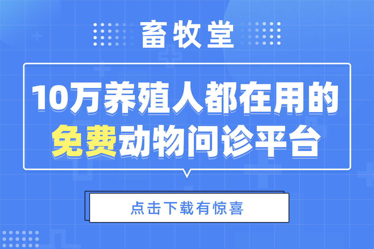 小猪呕吐怎么治疗,小猪反胃呕吐怎么治疗
