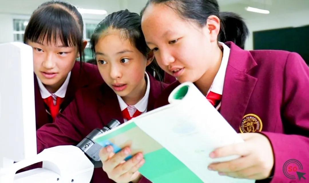 白塔中学教学质量,白塔中学教育讲座