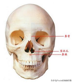 咬肌大双下巴法令纹,消除双下巴和颈纹紧致下颚线