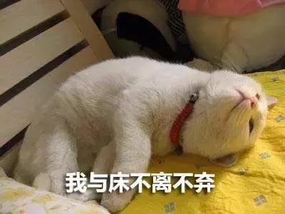 一张床的价格,一张床大概多少钱合适