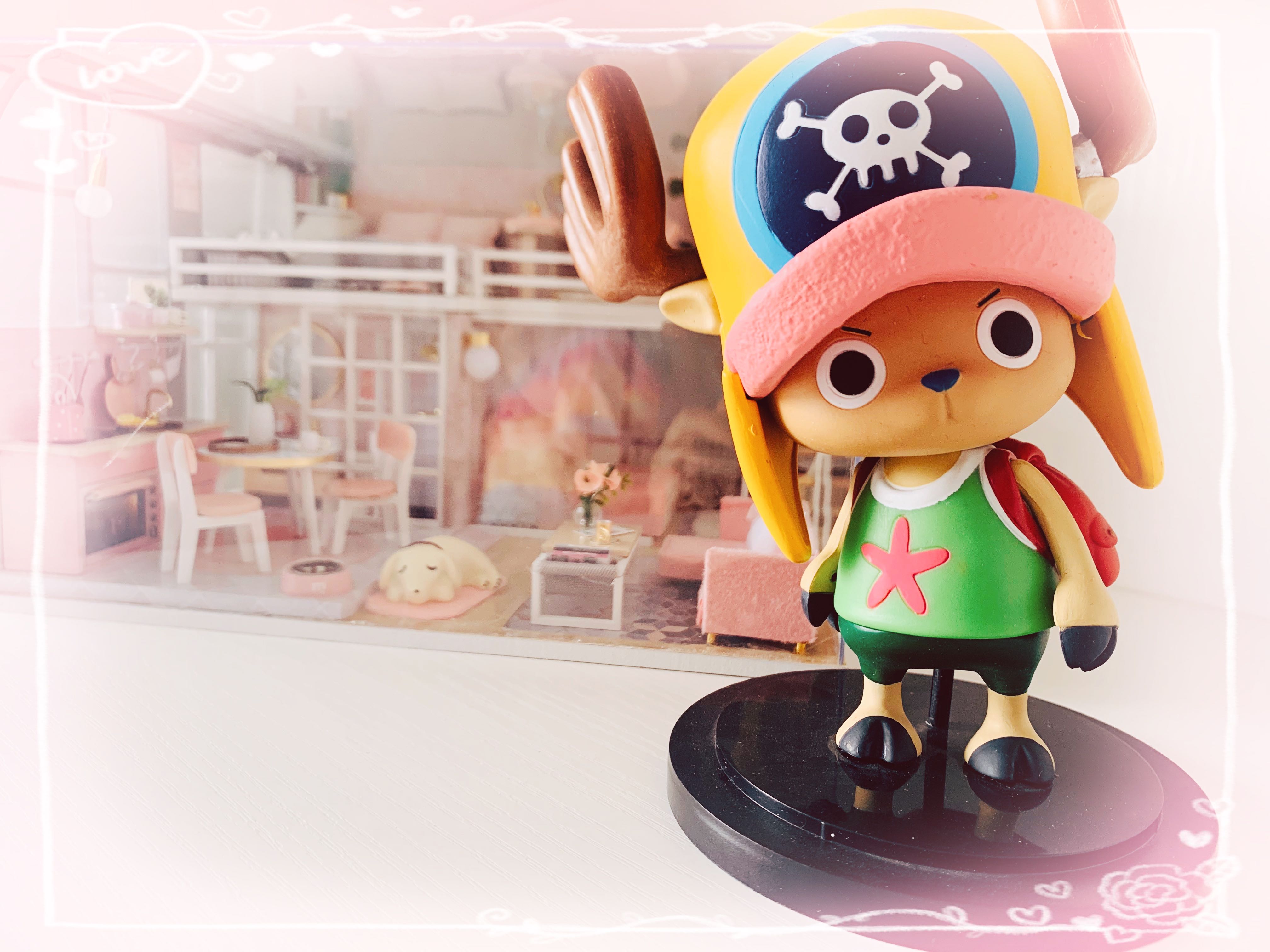 心之向往，皆在桑尼，成人眼中的《航海王》是驰而不往的梦想