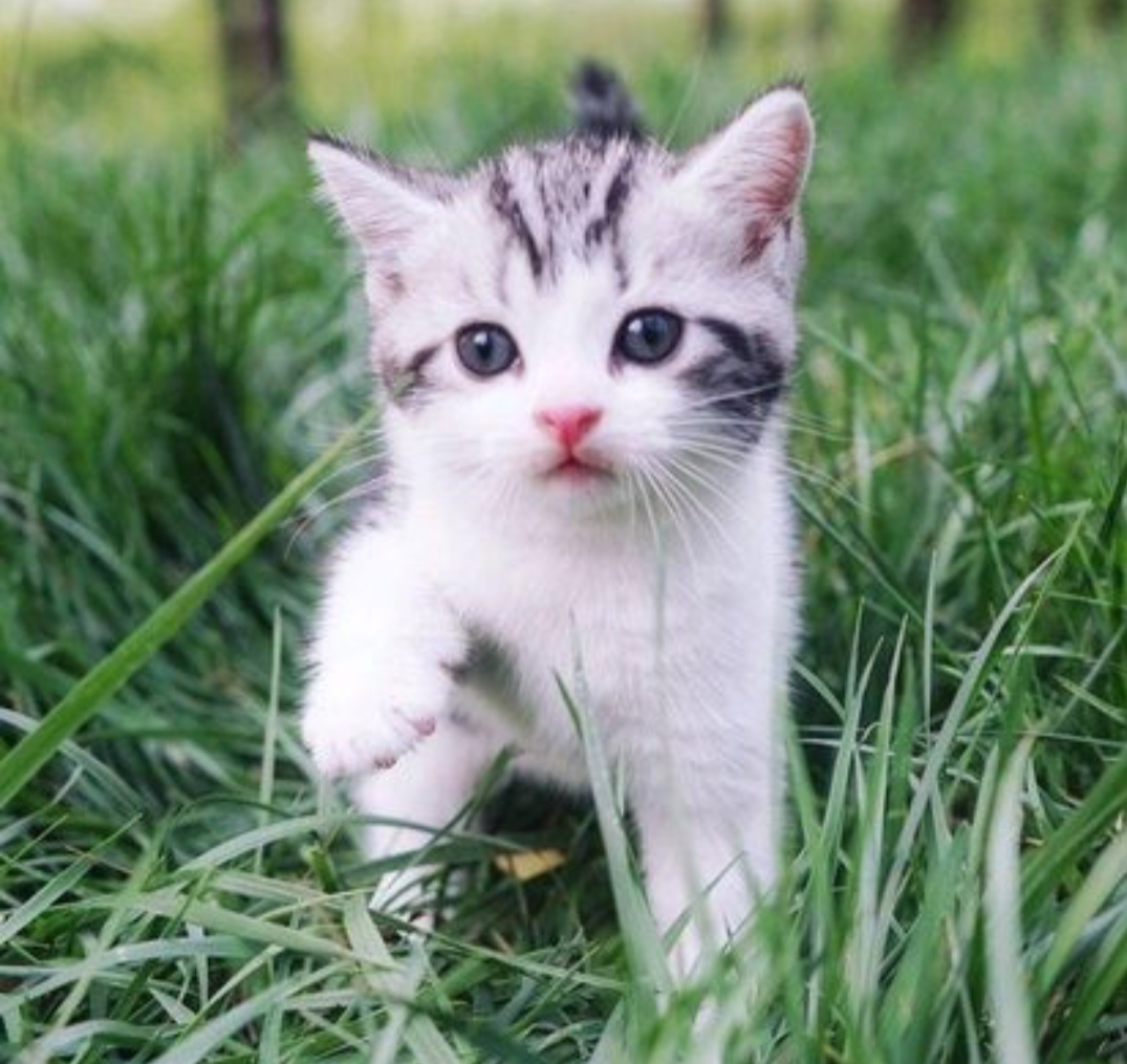 女人发脾气怎么办教你一招,女人怎样对男人发脾气