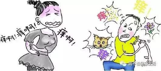 足部湿疹和水泡型脚气的区别,灰指甲都是由脚气引起的吗