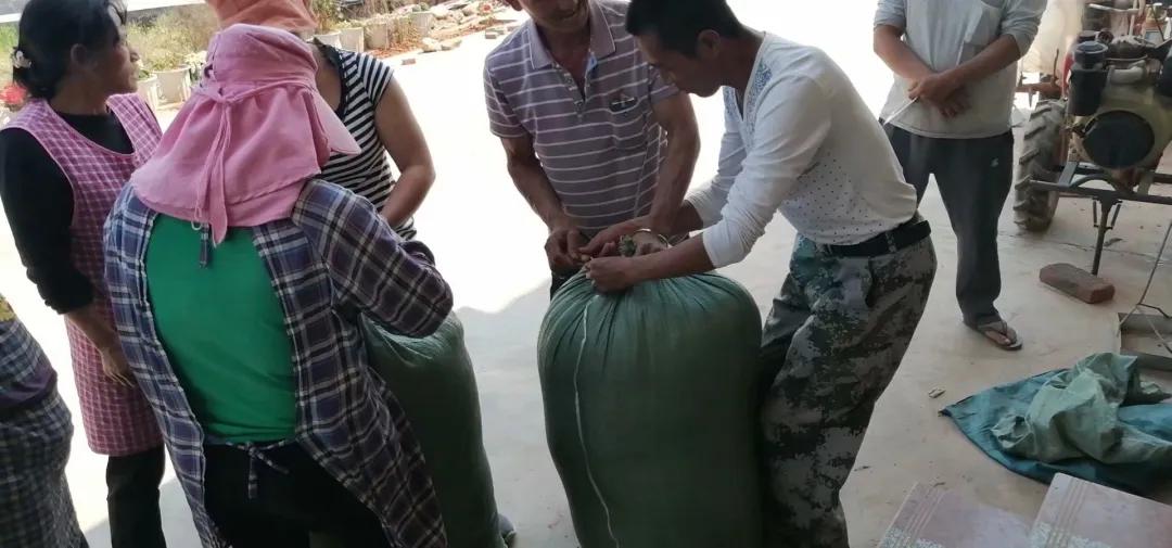 创业故事分享卖花,创业故事茶叶