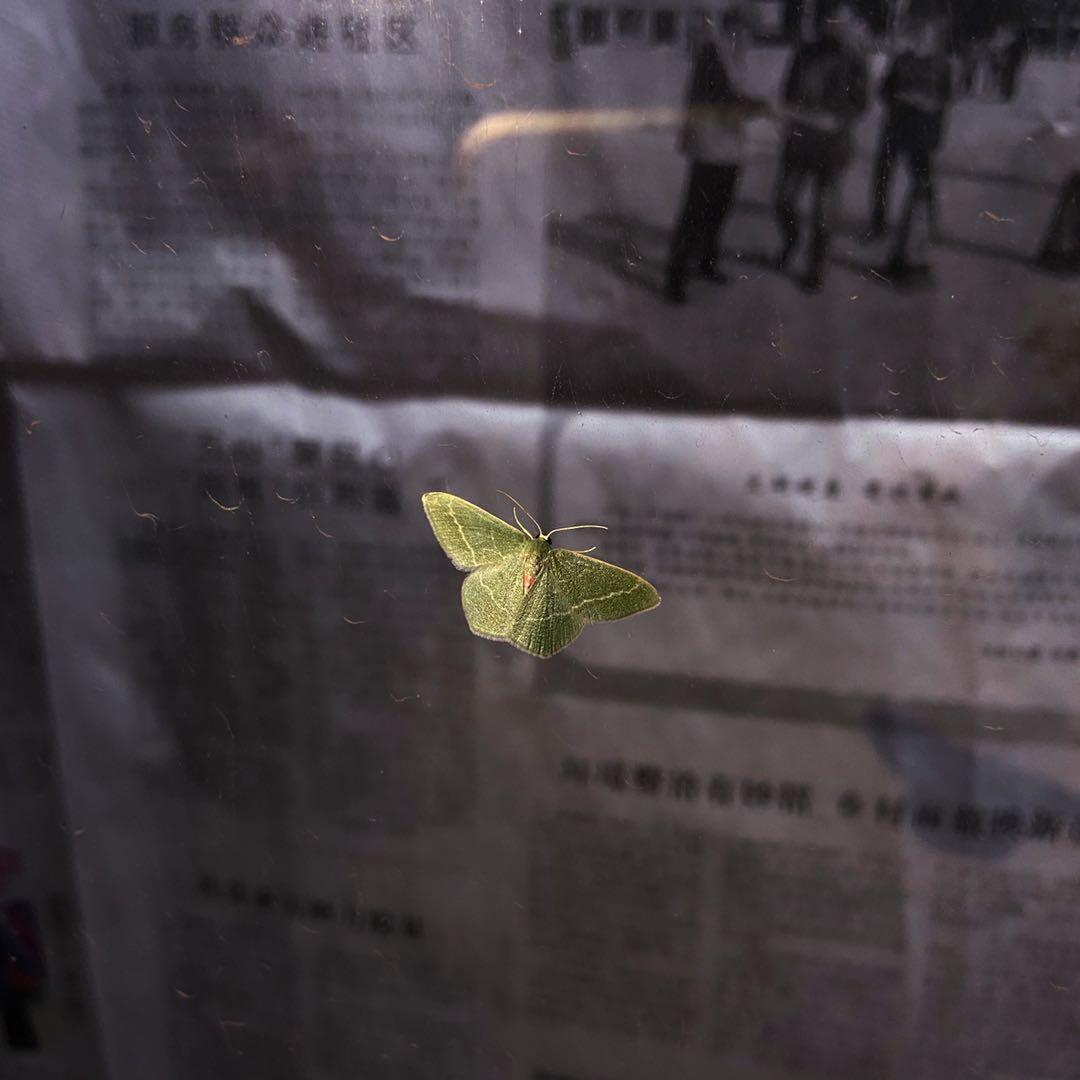 闲鱼运营技巧闲鱼赚钱的方法,如何在闲鱼上赚钱三个步骤详解