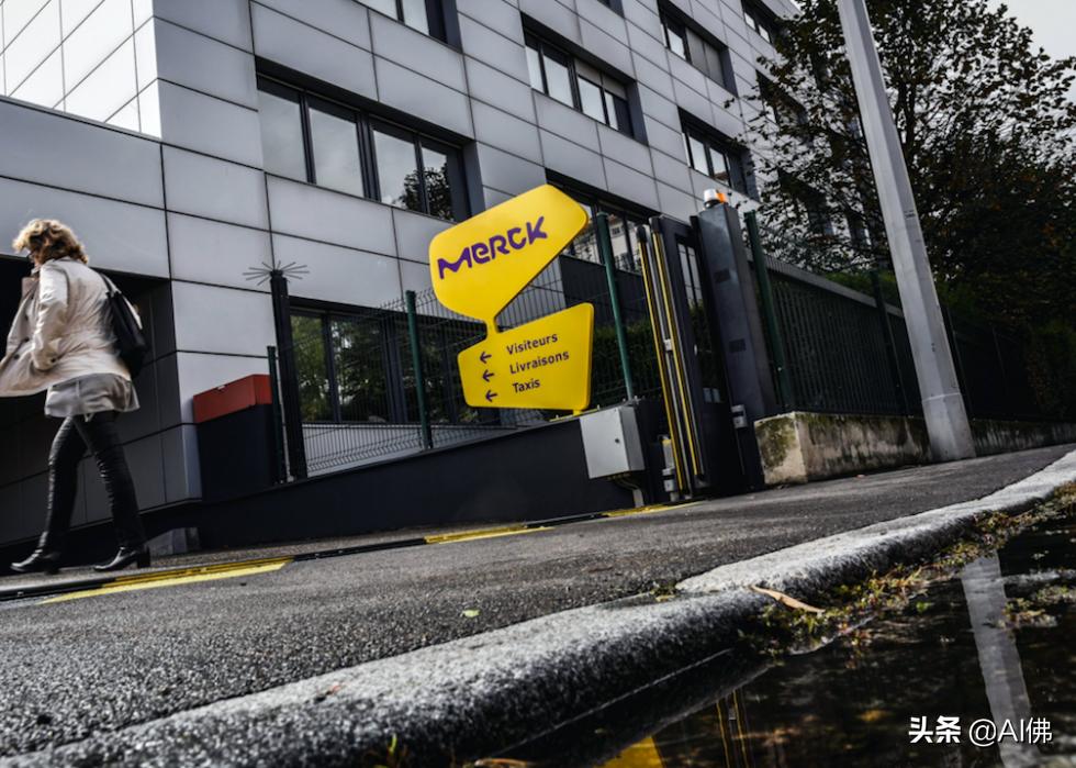 移民公司成功案例,美国成功的创业公司有哪些