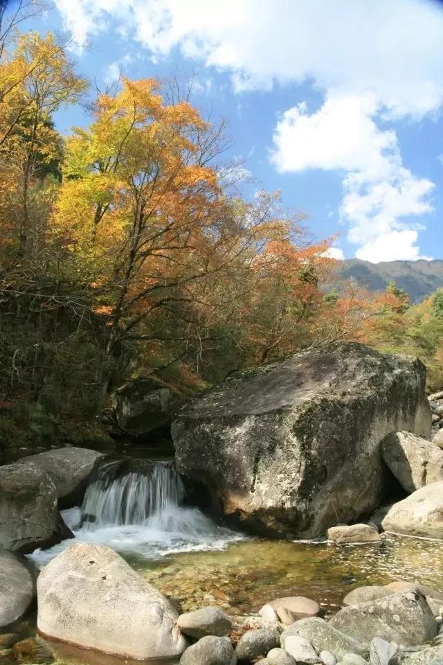 这里是勉县，一个让你流连忘返的地方