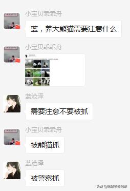 想养一只大熊猫有多不容易,怎么样能养大熊猫