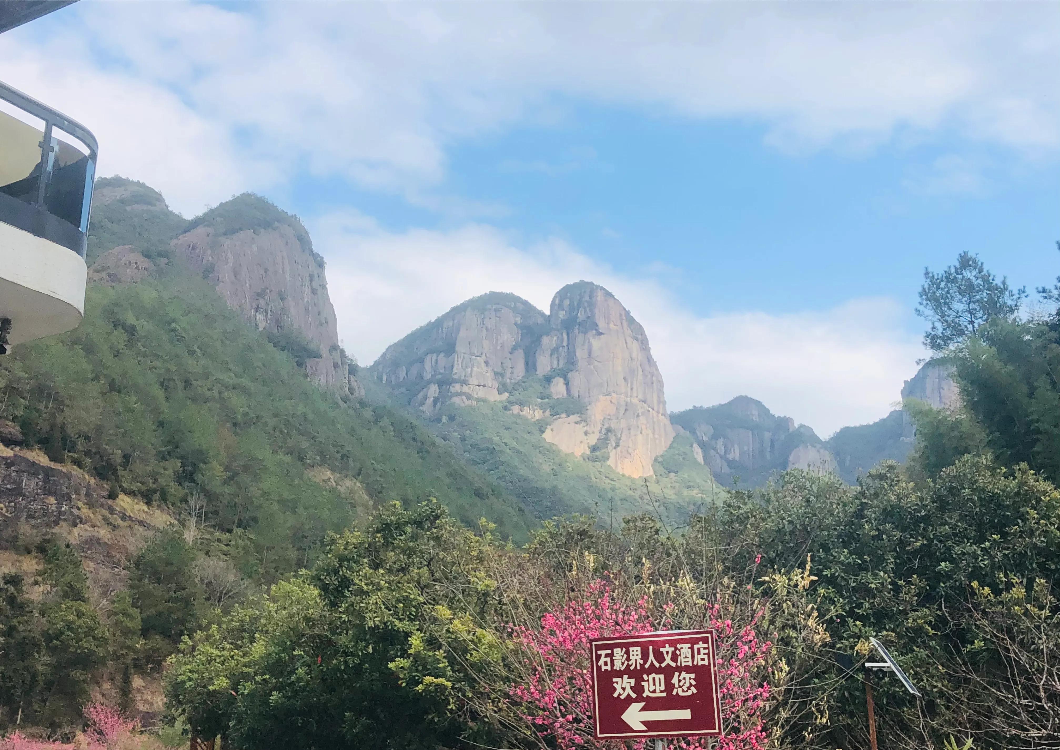 误打误撞进入传说中的八角金盘