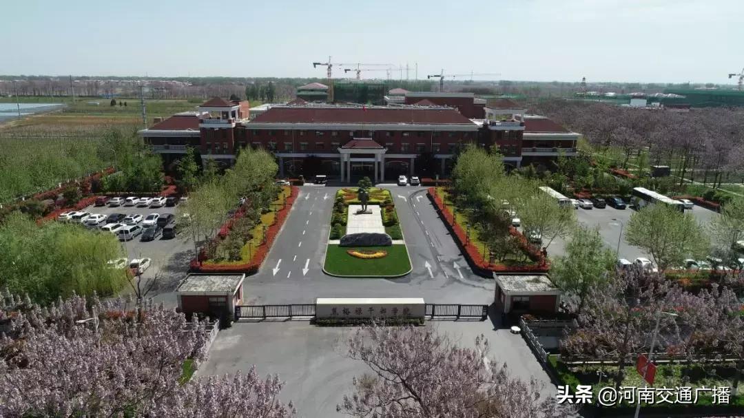 正宗兰考红薯价格,红薯大面积出售