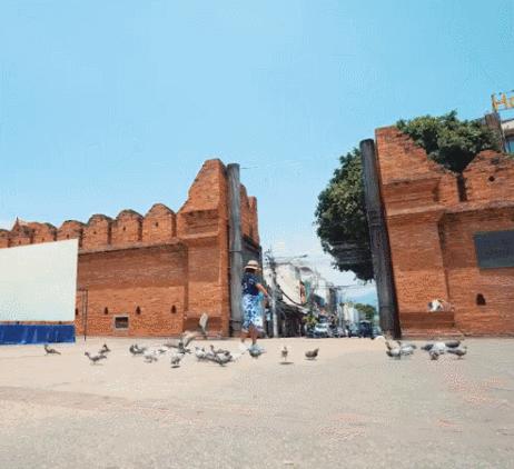 出片神器道具,出片必用特效