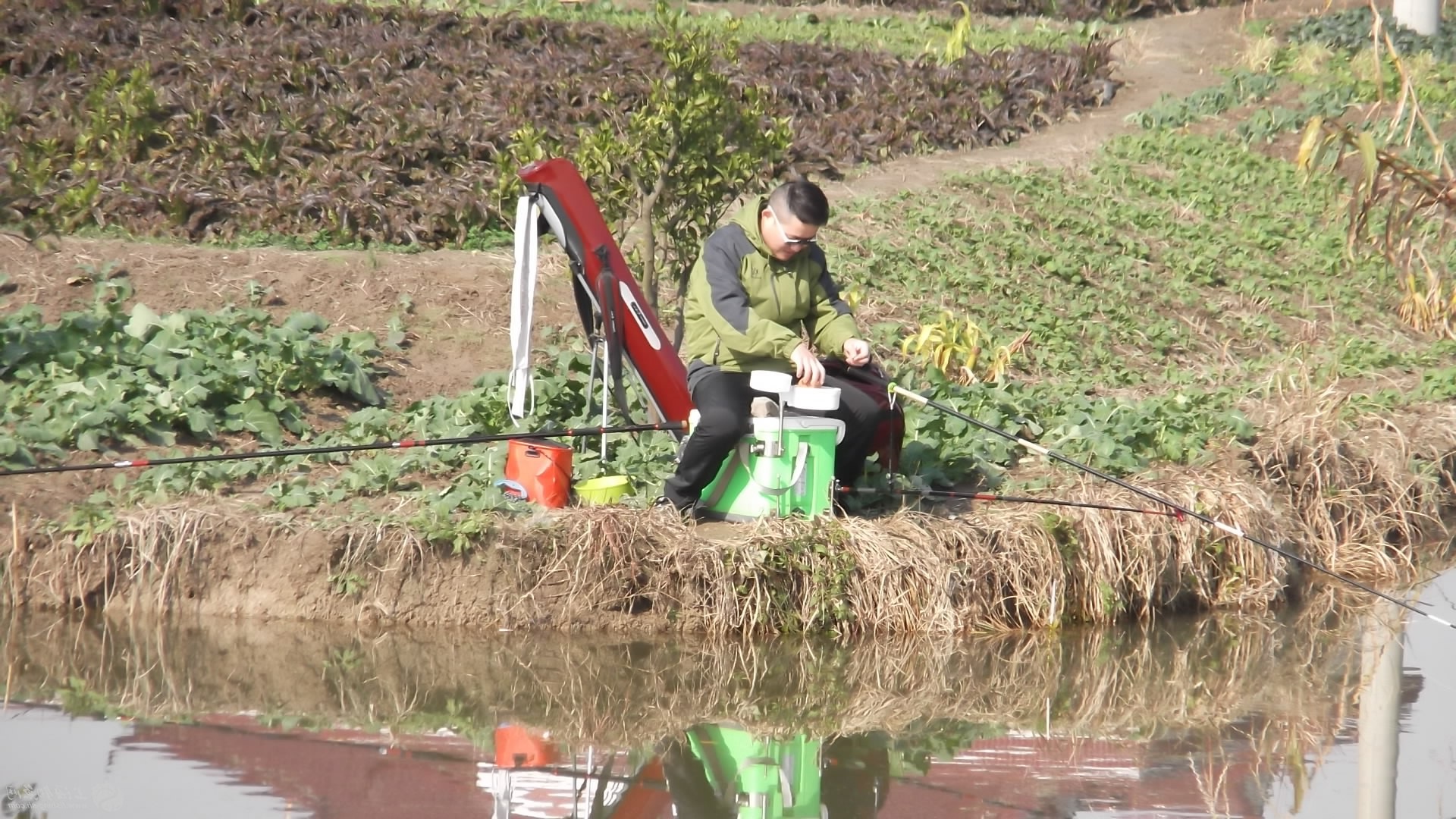 各品种鱼钓法习性,12种常见鱼的作钓技巧