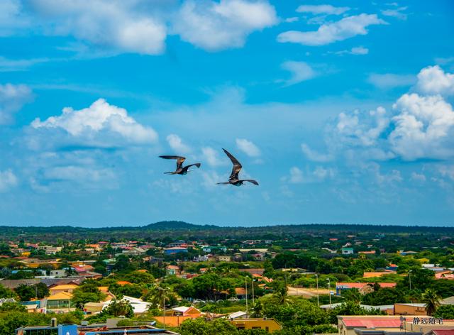 加勒比海邮轮旅行香港,加勒比海游轮旅行视频大全