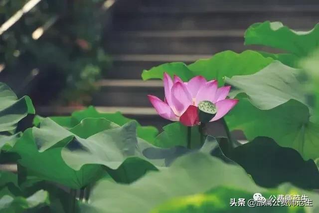 在机会和遗憾中的招聘之路（应聘经验分享系列）