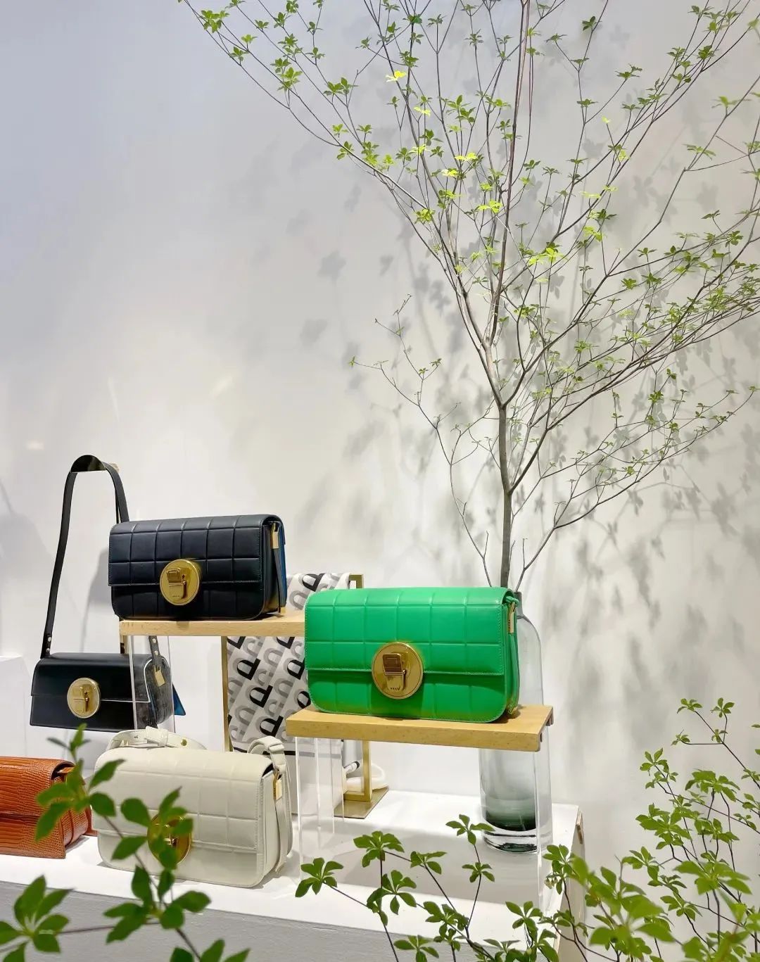 RR·TRENDS|时尚与实用兼顾的中国“轻奢”军团