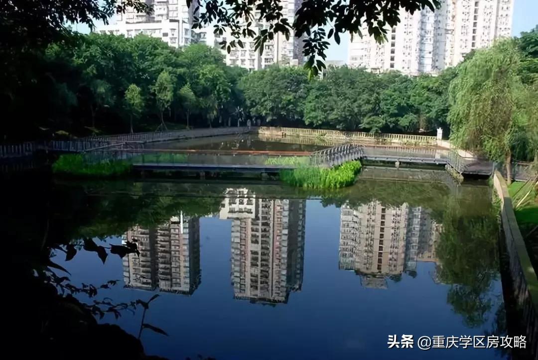 南岸区初中联招上线率,南岸区优质中学