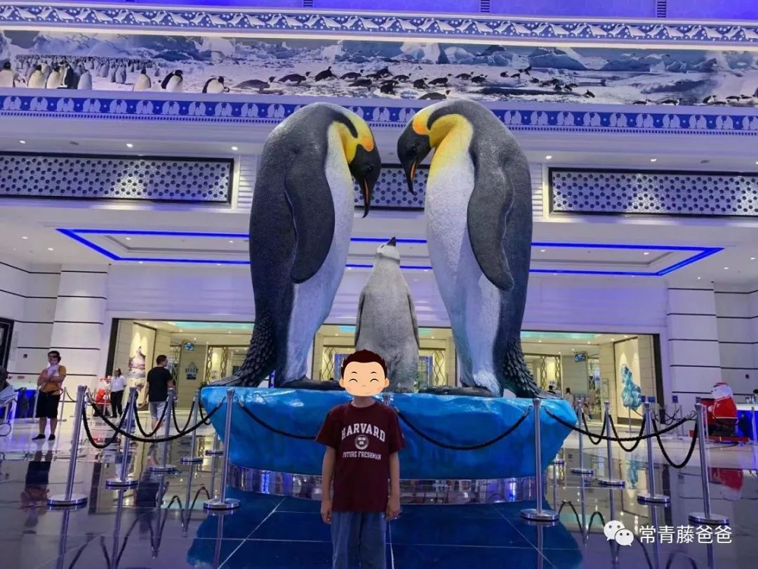 过年去珠海长隆海洋王国游玩攻略,广州长隆欢乐世界带娃一日游攻略