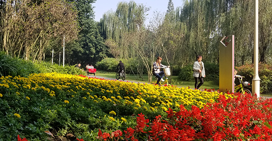 空港运动公园绿道,空港城市绿道骑行