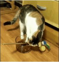 螺蛳粉有致癌危害吗,螺蛳粉含致癌物长期吃会致癌吗