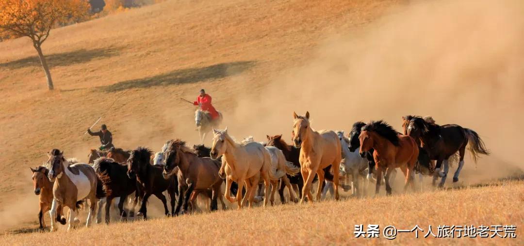 国庆带宝宝去玩的宝藏地方,贵阳国庆周边宝藏地