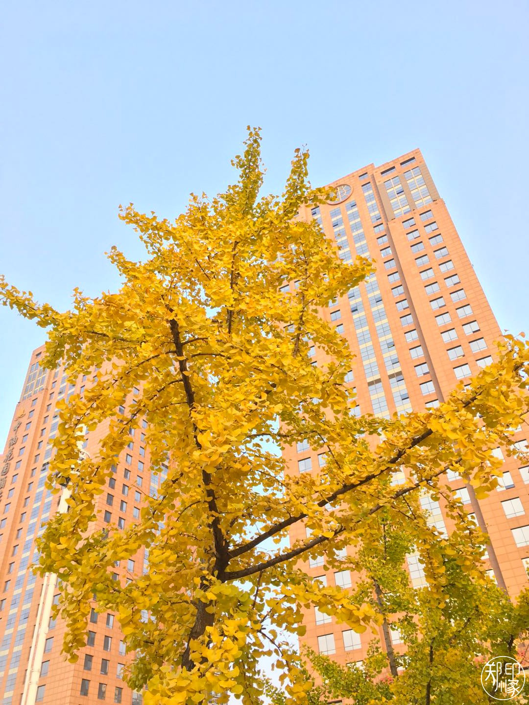 郑州漂亮的秋色风景,郑州的这些湖畔藏着最美的秋色