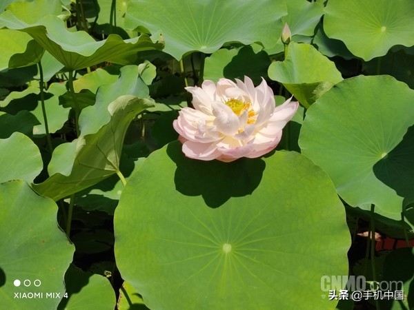 小米mix2s评测,小米mix4游戏评测