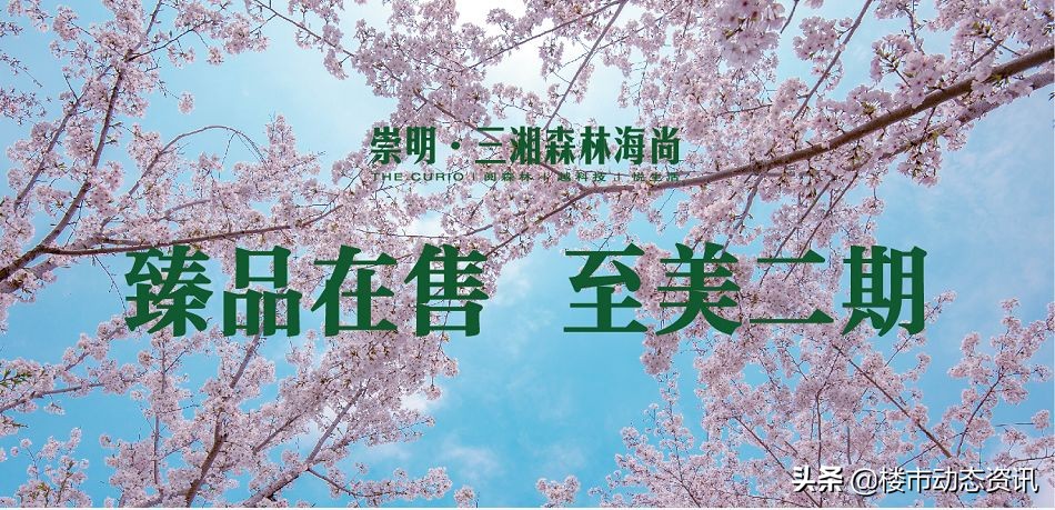 崇明三湘森林海尚联排户型,崇明三湘森林