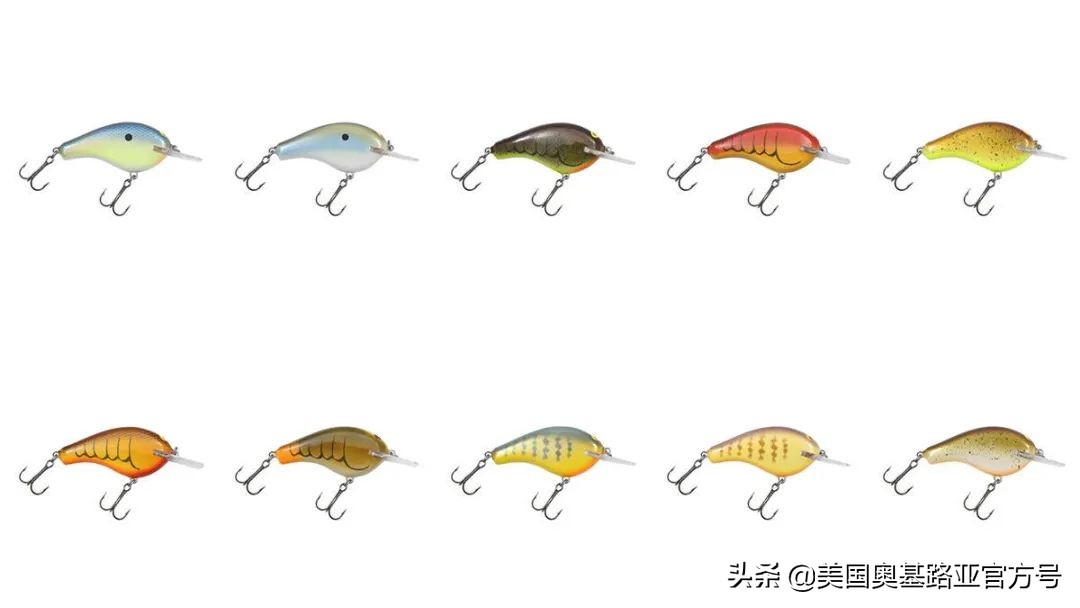 2021年春季渔具展会,2021昆明渔具展时间表