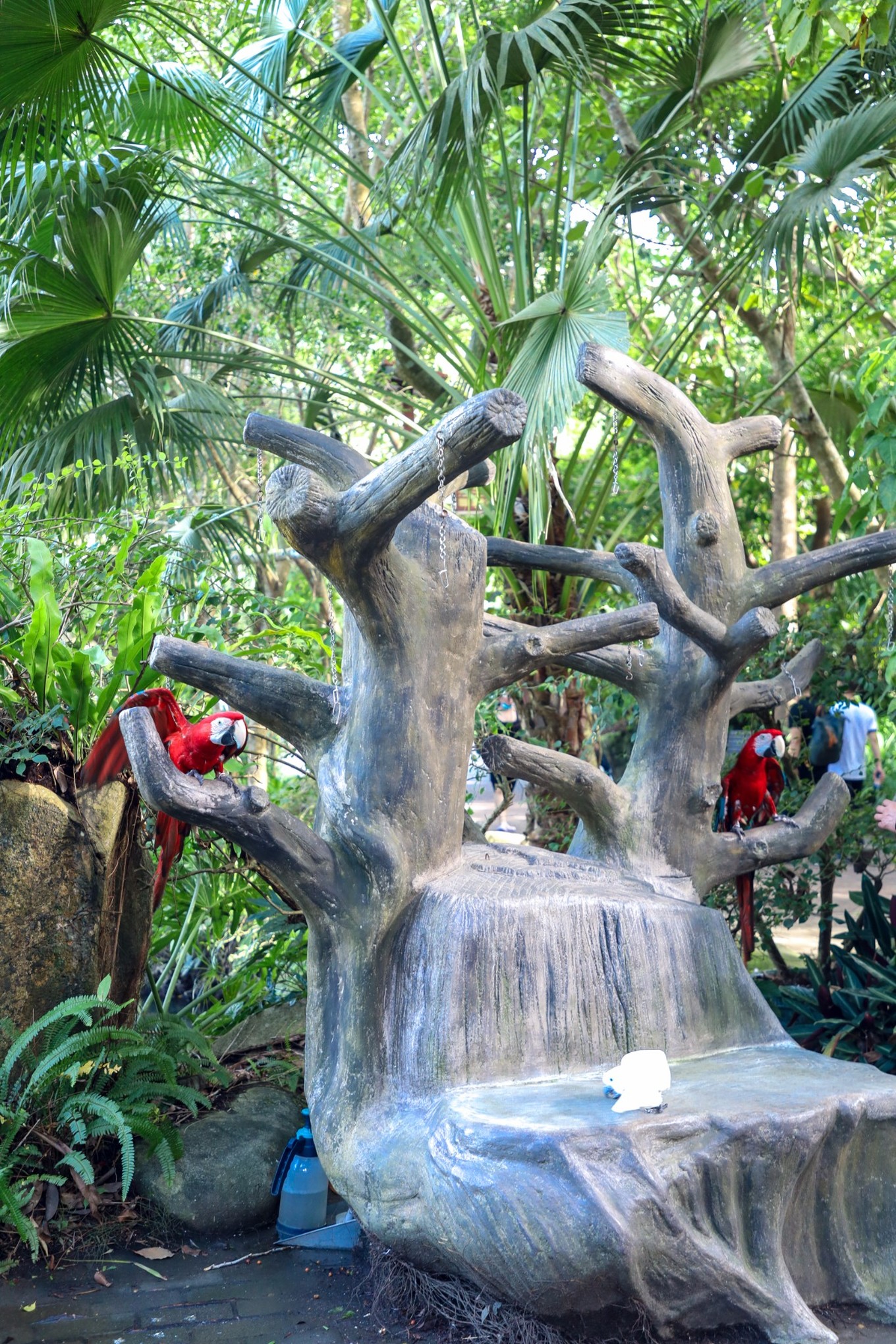 呀诺达雨林探险是什么,三亚呀诺达雨林正规吗