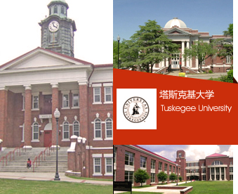 历史背后的故事札记,塔斯克基飞行员电影解说