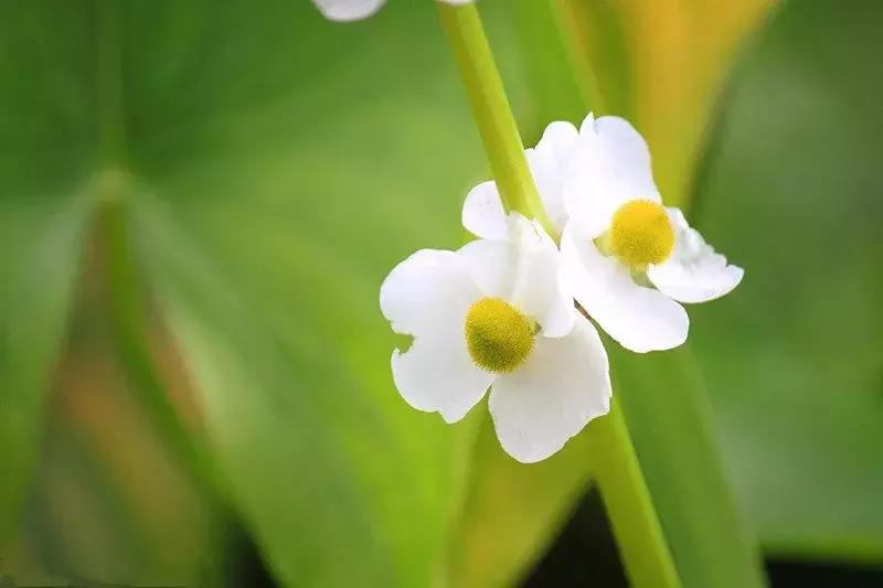 邪性的果报,男人犯了淫恶的果报
