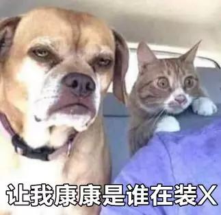 地球70亿巨型骚动！日本绝赞“中二文学秘密”大公开