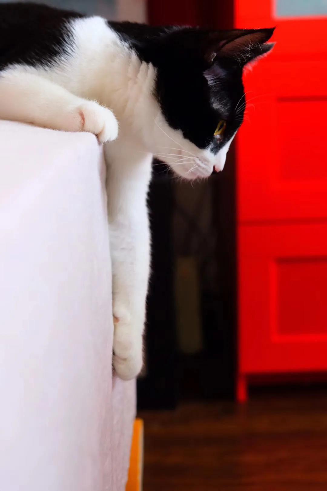 和卡卡的第一次合作,和卡卡相遇