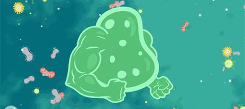 螨虫清除测评,螨虫测评