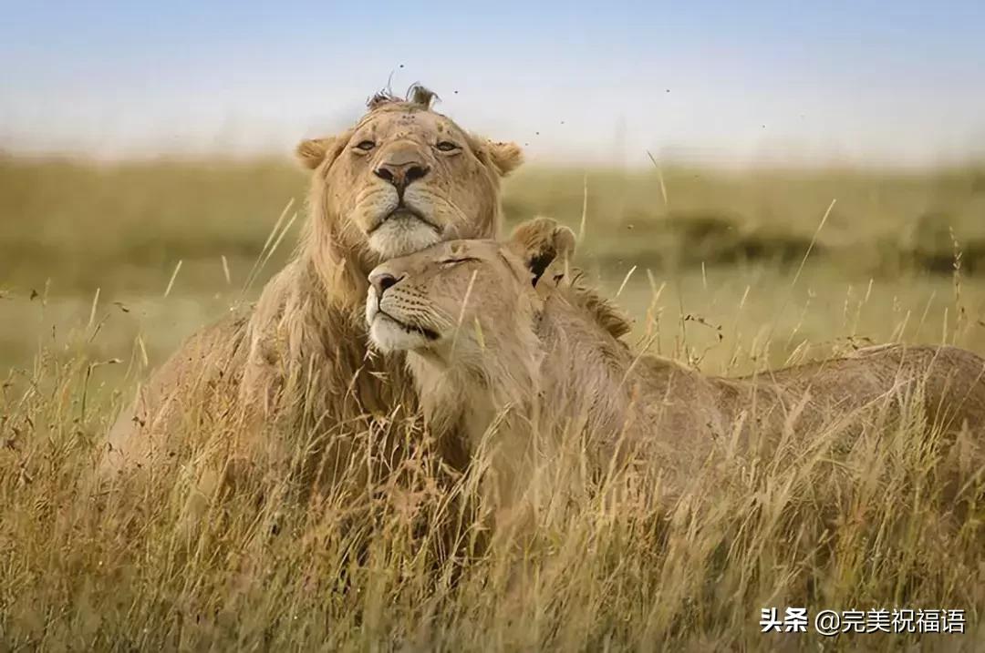 今天2.1，2月第1天，谁编的，太好笑了，给群里乐一乐~