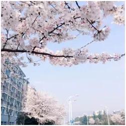 新生入校攻略|住在江南，让生活更精彩!