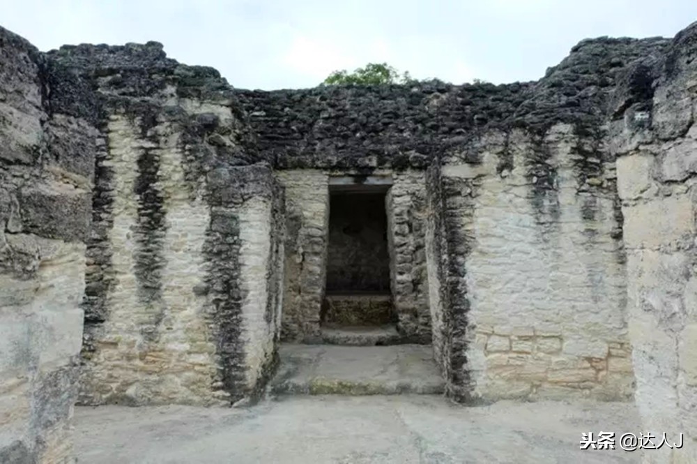 小天绝地求生,小天蜘蛛