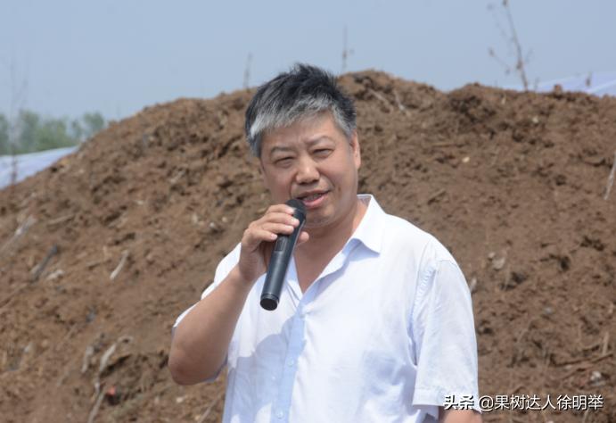 蚜虫防治药剂分析科学选择,小虫之王蚜虫怎么防