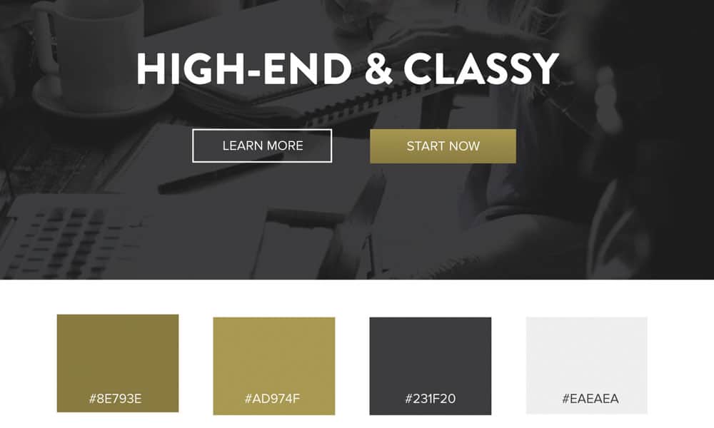 品牌网页设计推荐,有关商业的网页设计