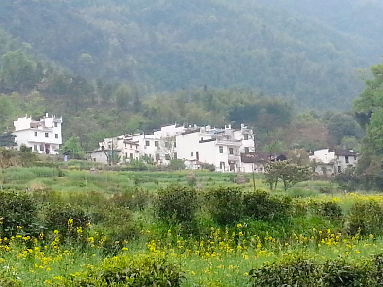 被誉为中国最美的古村落,徽州婺源风光